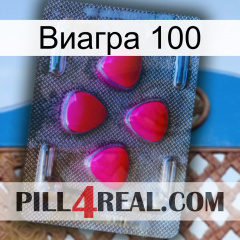 Виагра 100 13